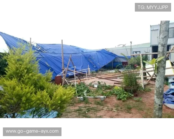 五人抱团强拆基地